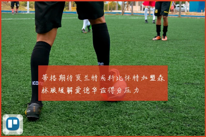 蒂格期待莫兰特或科比怀特加盟森林狼缓解爱德华兹得分压力