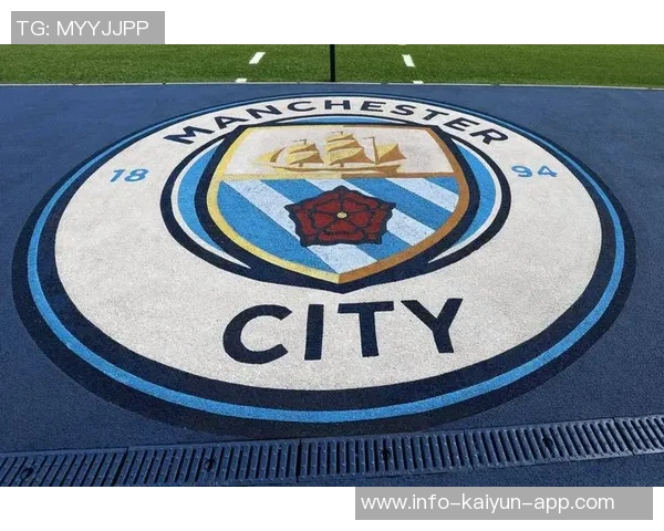 前水晶宫老板遭9700万美元索赔多家俱乐部集团陷入财务危机